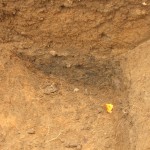 Evidence of (Late Saxon?) Burning
